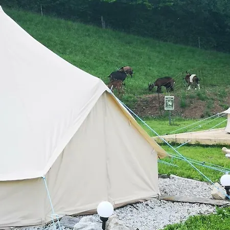 Campsite Camping Garden Park 2*